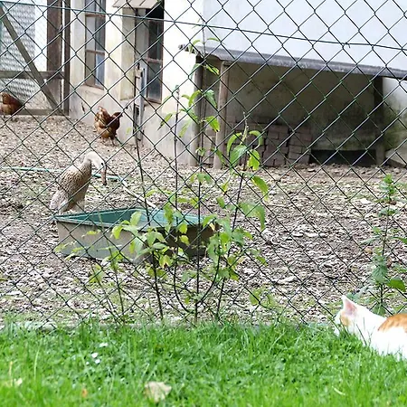 ホテル Baunhoeller-muehle エンメルスハウゼン