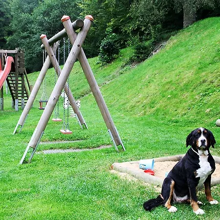 Baunhoeller-muehle *