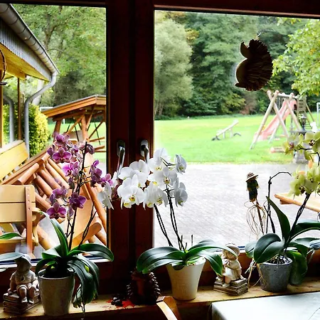 ホテル Baunhoeller-muehle エンメルスハウゼン