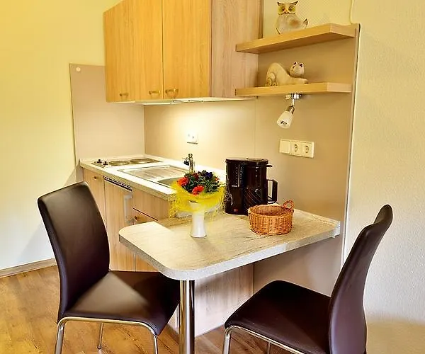 Baunhoeller-muehle 酒店