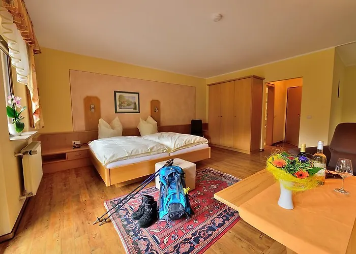 酒店 Baunhoeller-muehle 艾米尔沙森