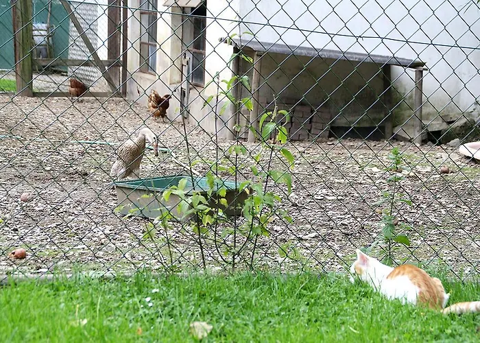 酒店 Baunhoeller-muehle 艾米尔沙森