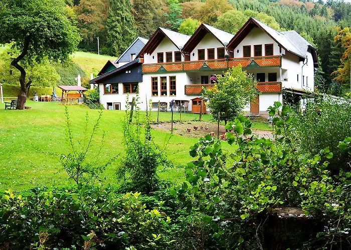 Hotel Baunhoeller-muehle