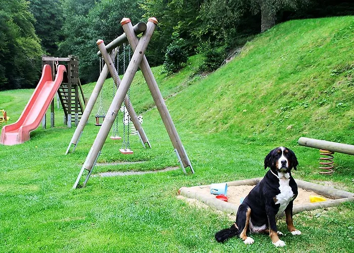 Baunhoeller-muehle *