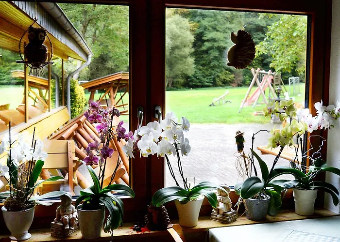 酒店 Baunhoeller-muehle 艾米尔沙森